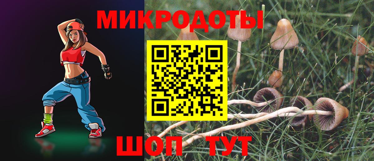 Галлюциногенные грибы прущие грибы Астрахань