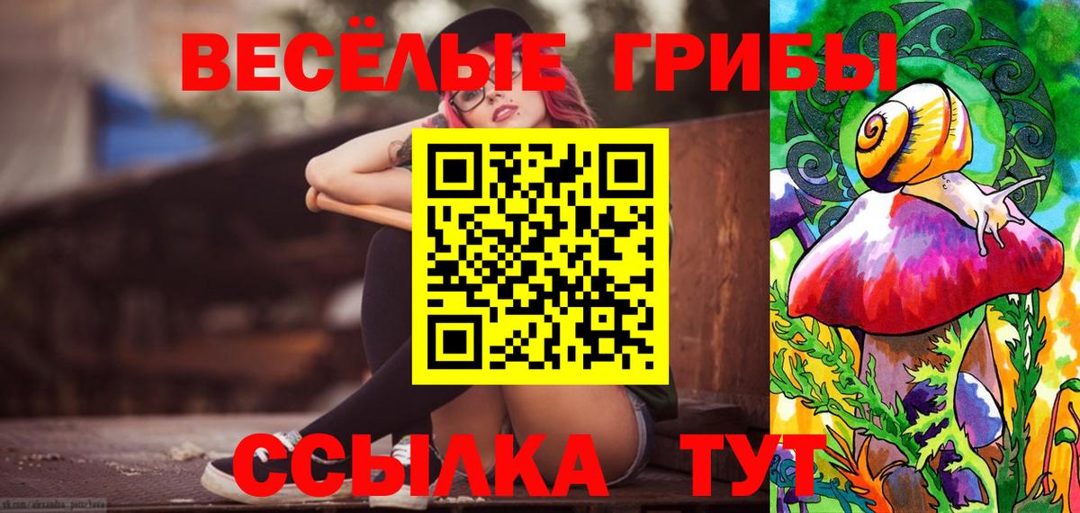 Псилоцибиновые грибы MAGIC MUSHROOMS  Вход с VPN  Галлюциногенные грибы Psilocybe  Астрахань 