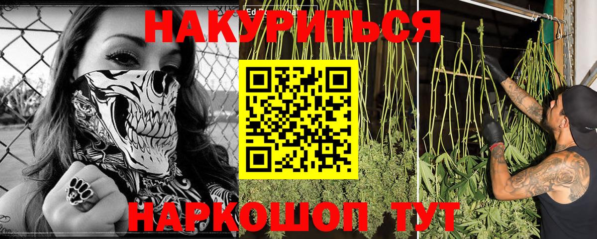Каннабис гибрид Астрахань